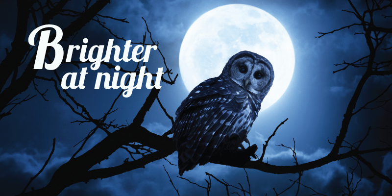 Here is why night-owls are the better entrepreneurs