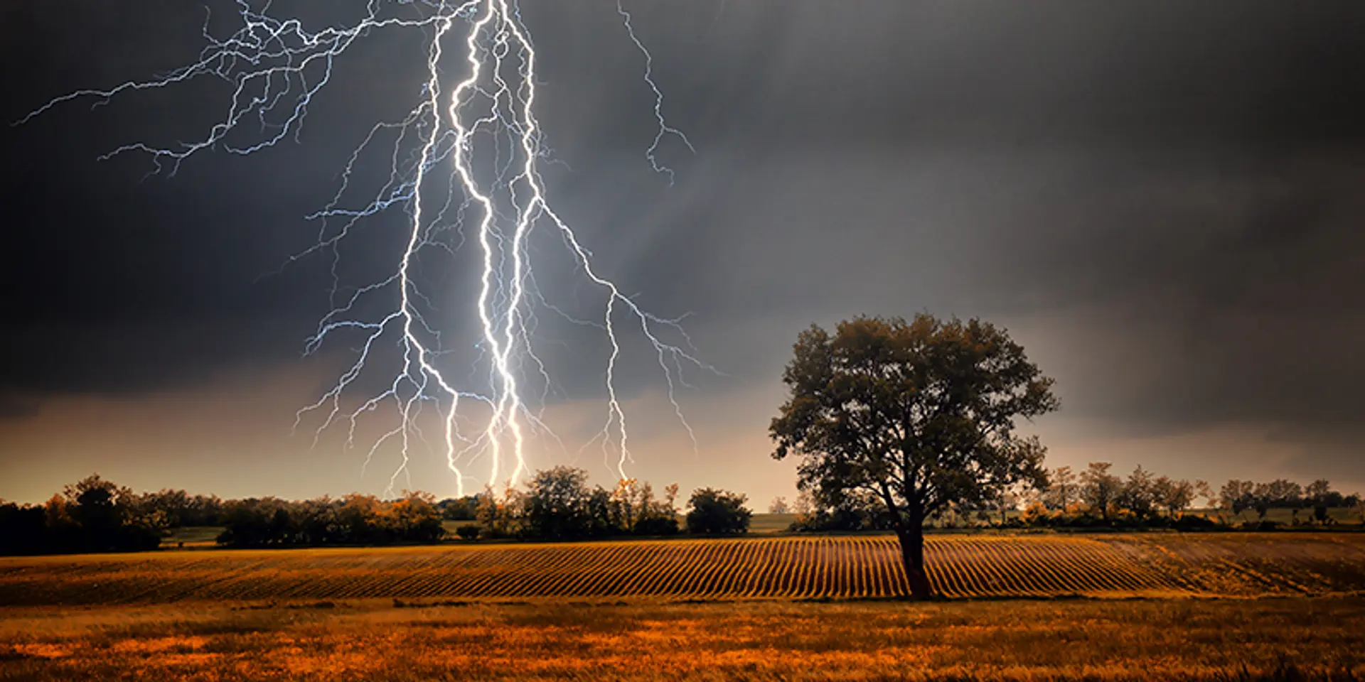 Govt silent despite lightning being India’s biggest killer