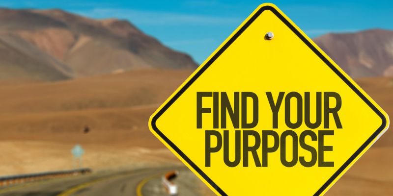 Why purpose is the most important metric for startups