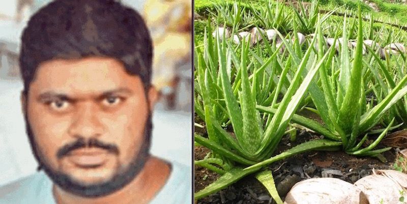 Harish Dhandev quit his govt job and cultivated aloe vera to become a crorepati