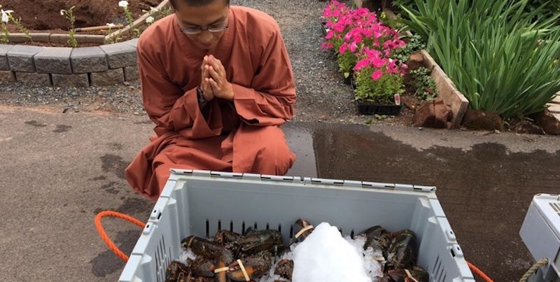 The monks who bought lobsters worth Rs 3 lakh to free them into the ocean