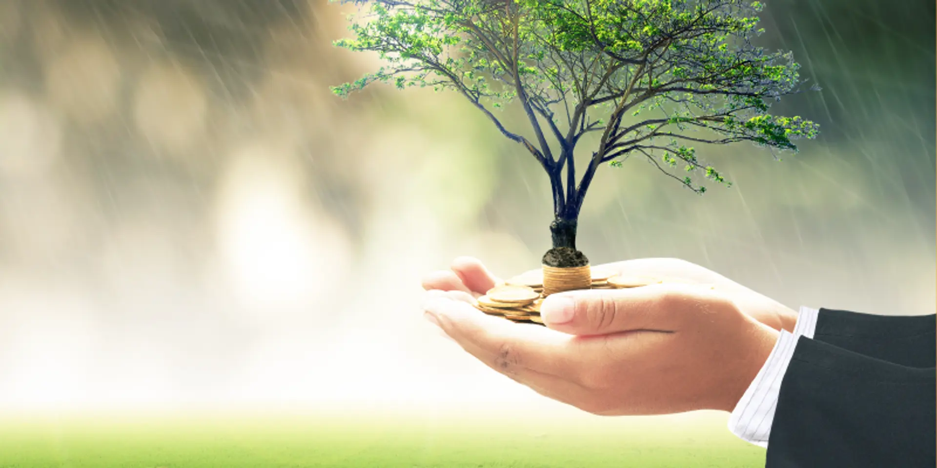 Your startup can be much more than a profit-making machine