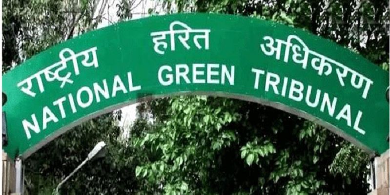 NGT bans all diesel vehicles older than 10 years with immediate effect in Delhi