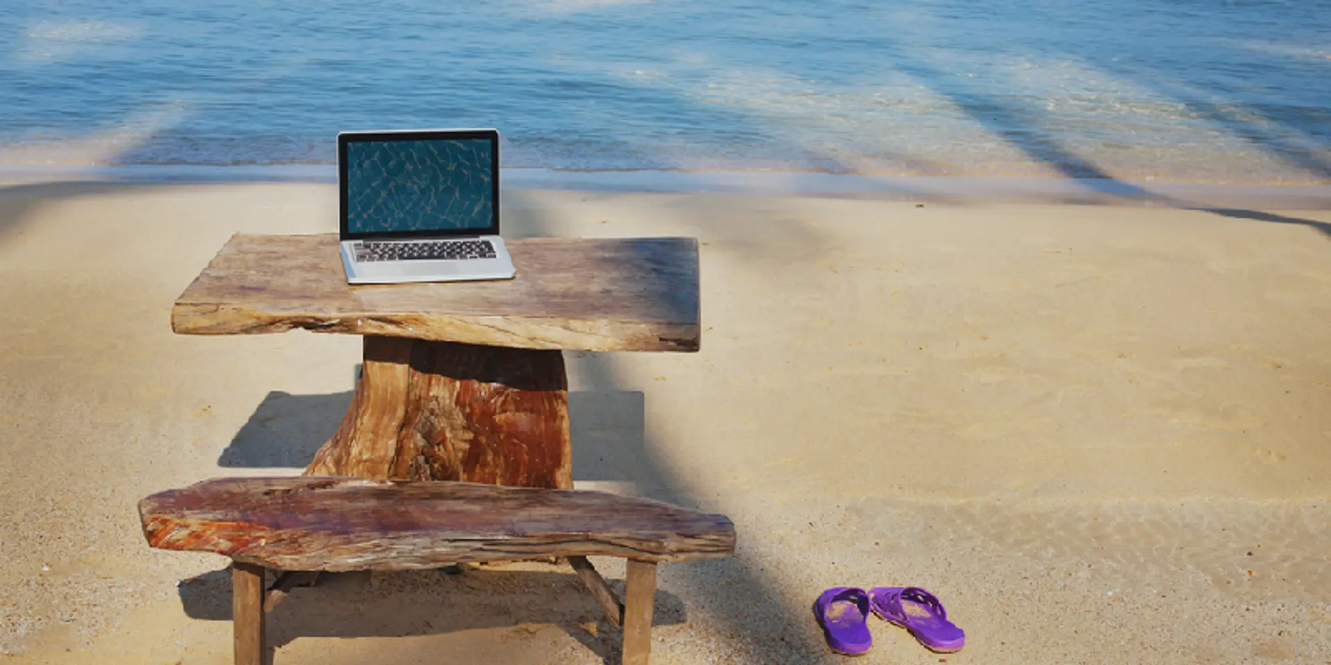 5 startups to work for in 2016