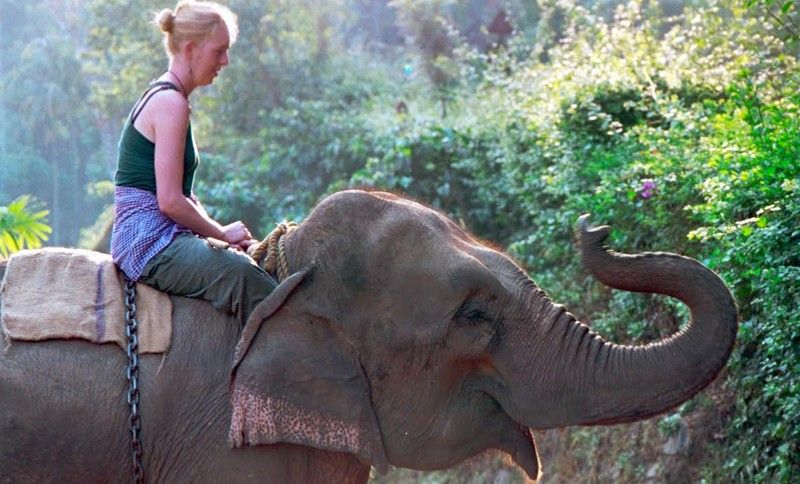 A blind girl on an elephant travelled 1,000km across South India to prove disability can be a strength