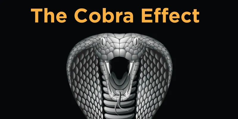 The Cobra Effect: Its pitfalls and how to prevent them | YourStory