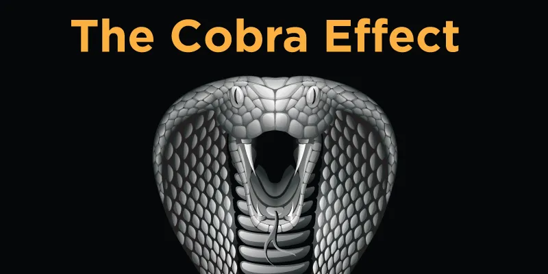 Cobra-Effect