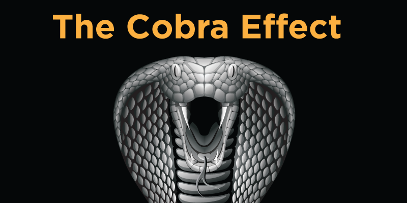 The Cobra Effect in India’s e-commerce startups
