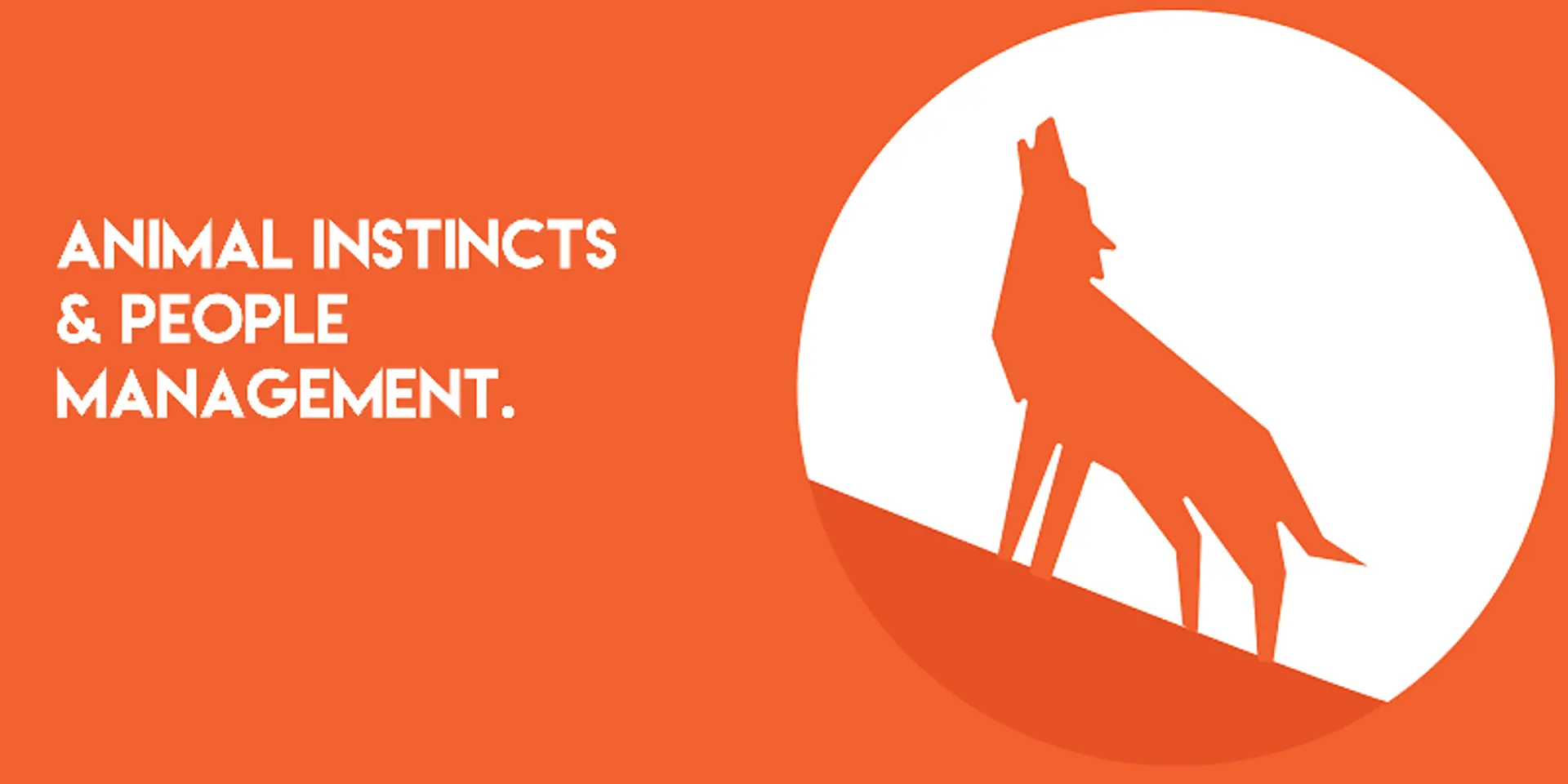 What it takes to create a winning team in your startup