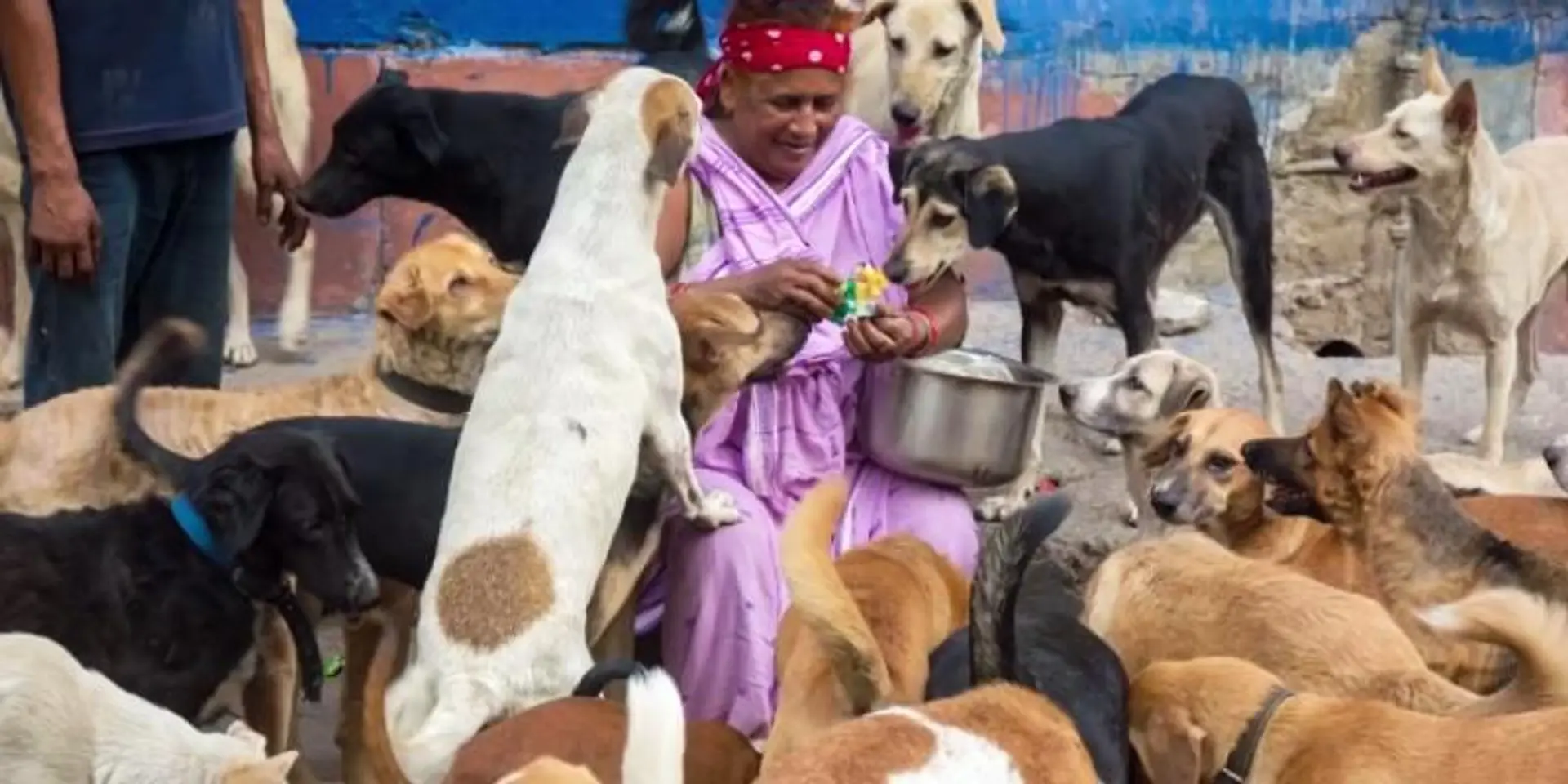 Meet Pratima Devi, a rag picker who takes care of 400 stray dogs in Delhi