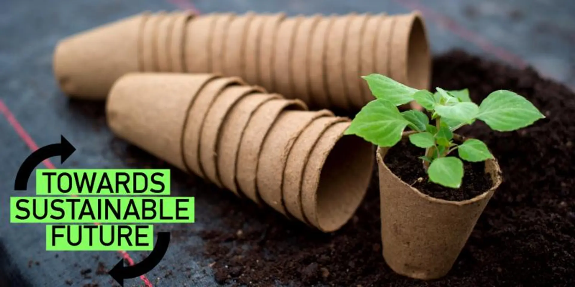 The future is either sustainable or not