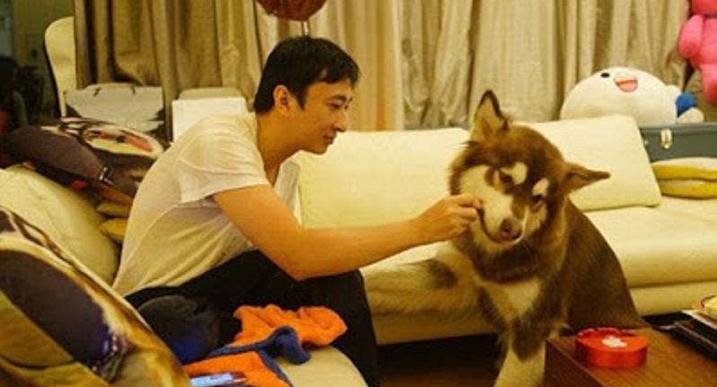 Meet the Chinese billionaire who just gifted his dog 8 iPhone 7s