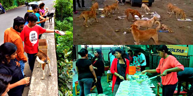 A little girl in Mumbai invited 1,200 stray dogs to her 12th birthday party
