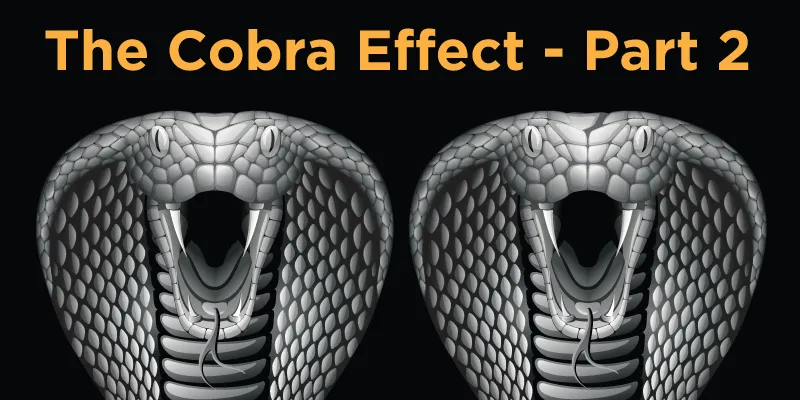 The-Cobra-Effect-part-2