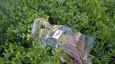 Farm fresh produce