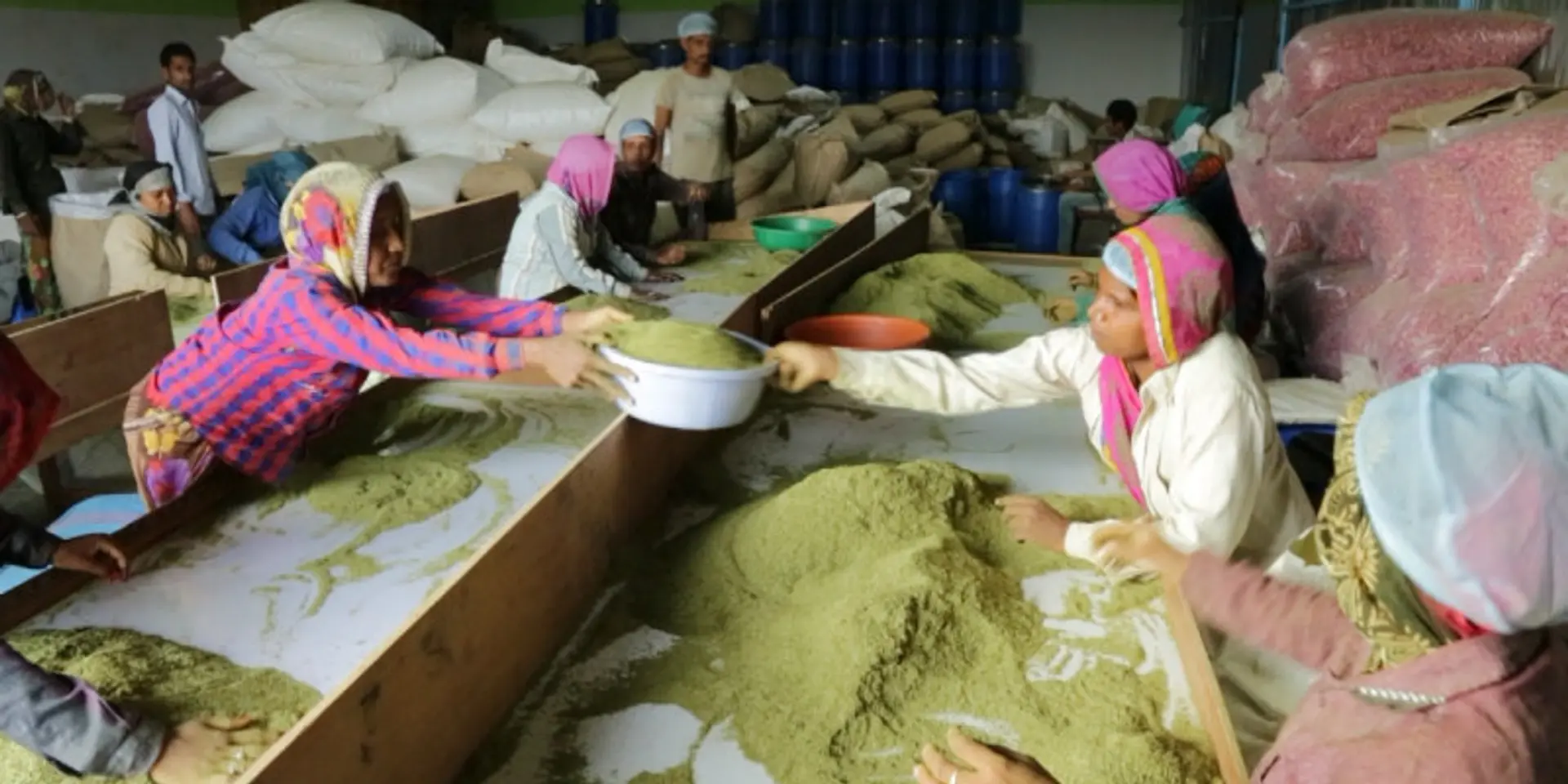 This is how Carmel Organics is using technology to improve the lives of organic farmers in India’s heartland