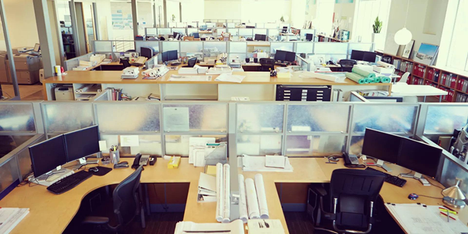 Why an open office is a curse rather than a blessing