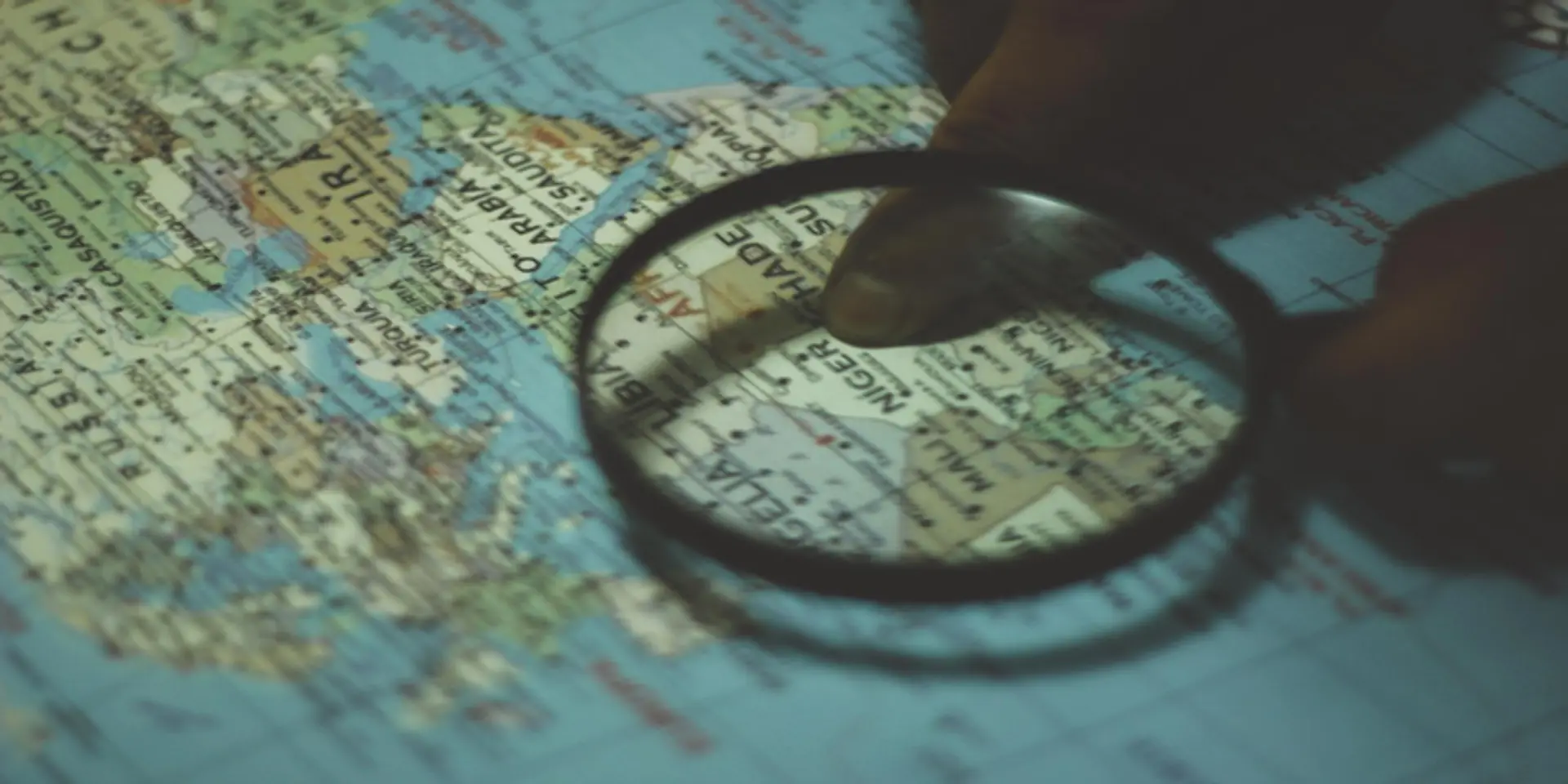 WARNING: Too much focus can constrain your startup