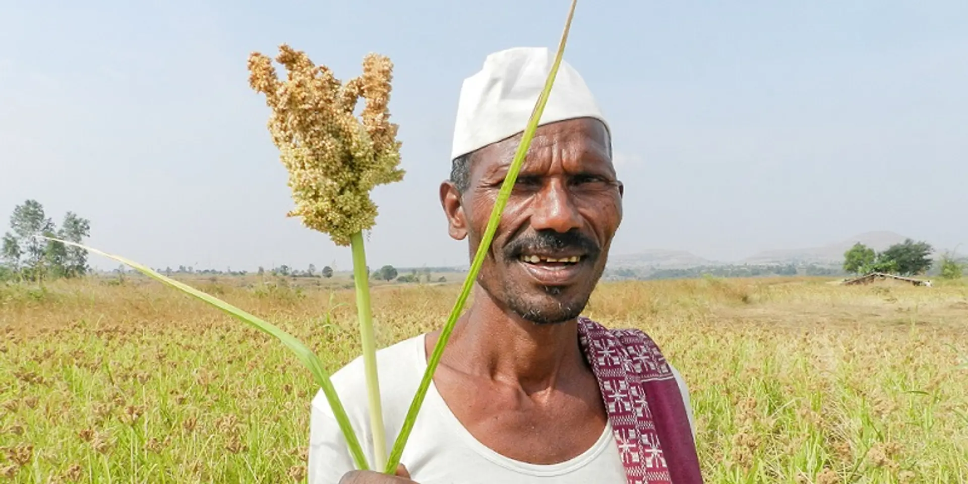 Building a socially-conscious food company from the ground up: the Happy Roots story