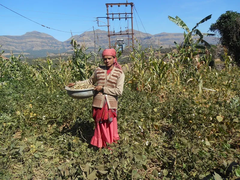 Farmer in Maliv village