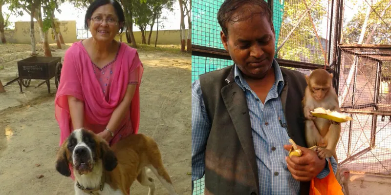 A dog who had her eyes gouged out by a drunkard and many like her survived  because of Surat Gupta