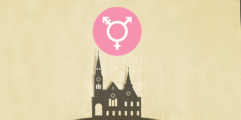 Catholic Church's social work wing to recruit transgenders