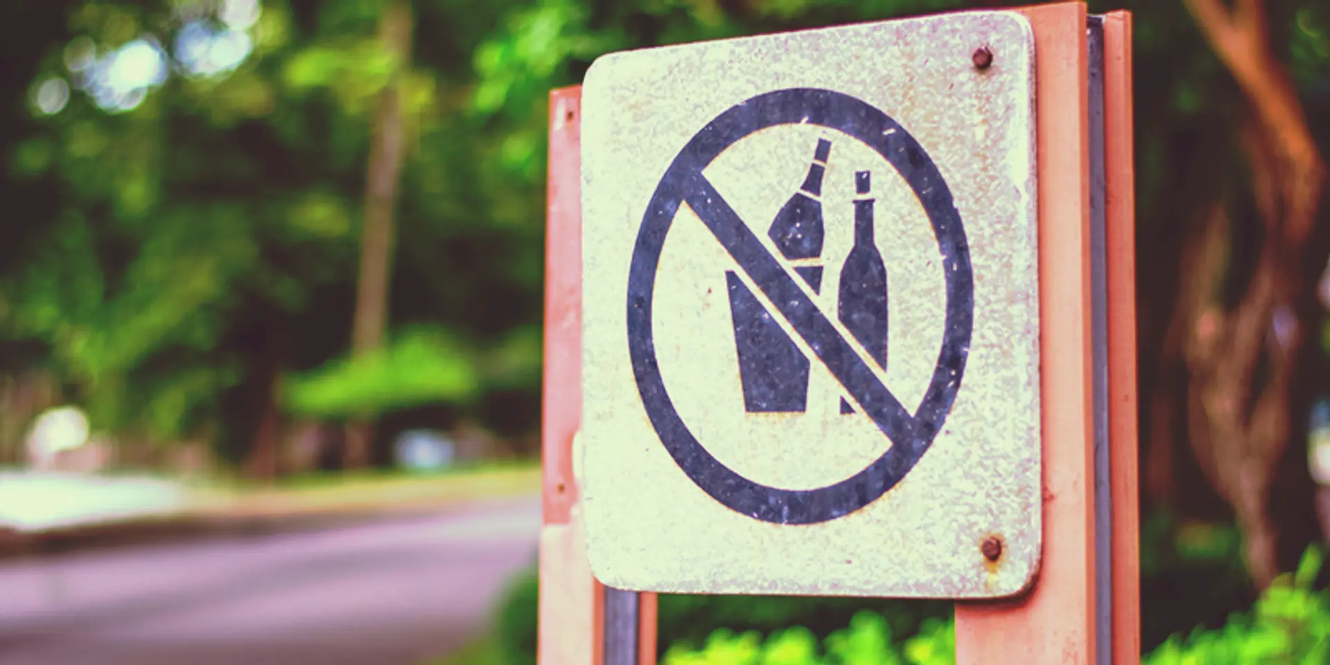 Delhi NGO urges govt to introduce partial prohibition to curb drunk driving