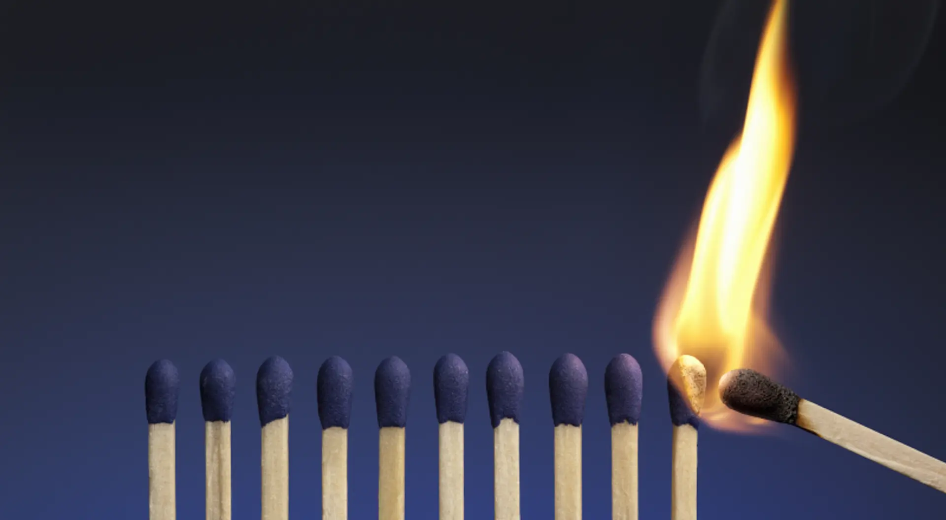 The hidden forces shaping (and destroying) your life