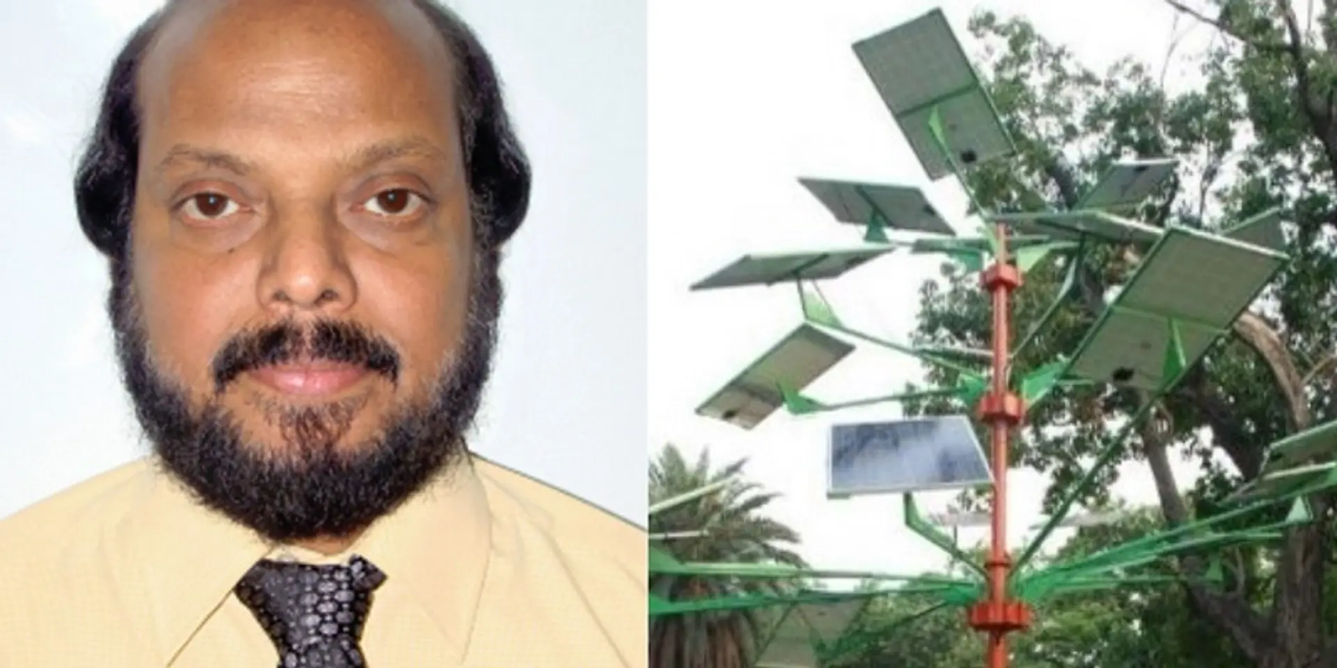 Scientist from Durgapur develops 'solar tree' that can provide electricity to 5 houses