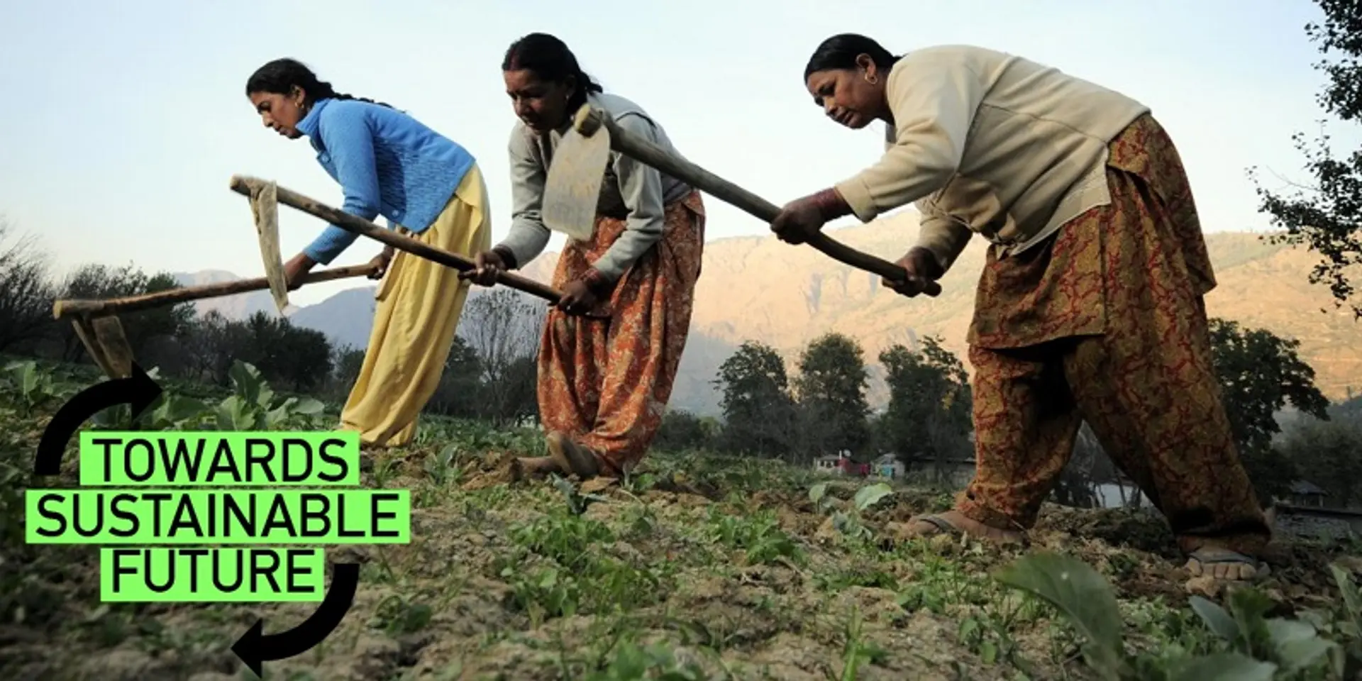 Why India needs to focus more on production of pulses at home