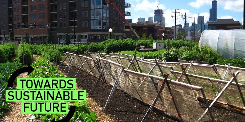 Urban Agriculture - it deserves more attention