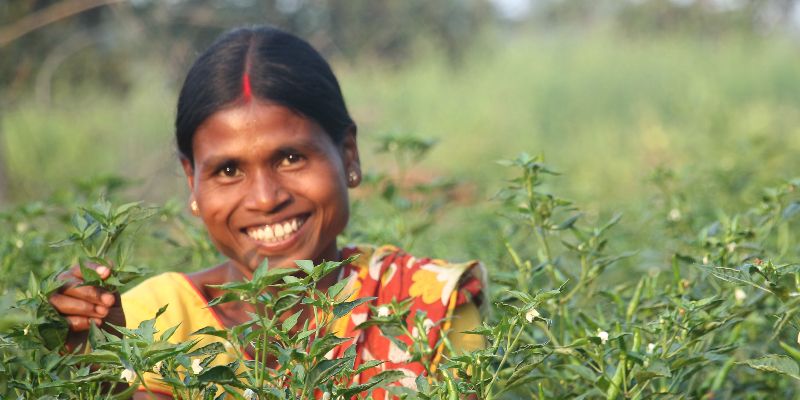 How Tata Trusts is creating 101,000 “lakhpati farmers” in the Central Indian tribal belt