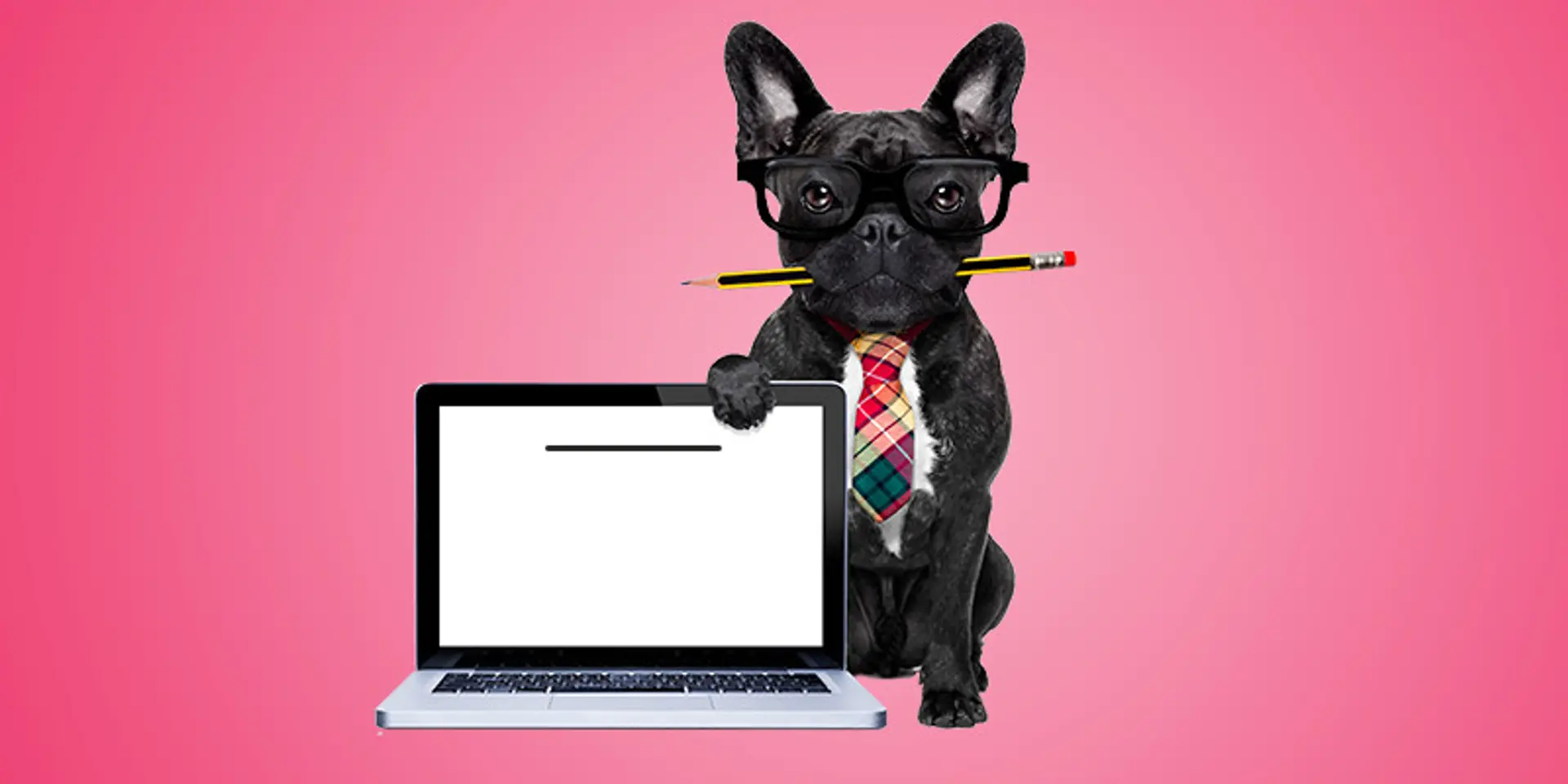 How to successfully block the writer’s block!