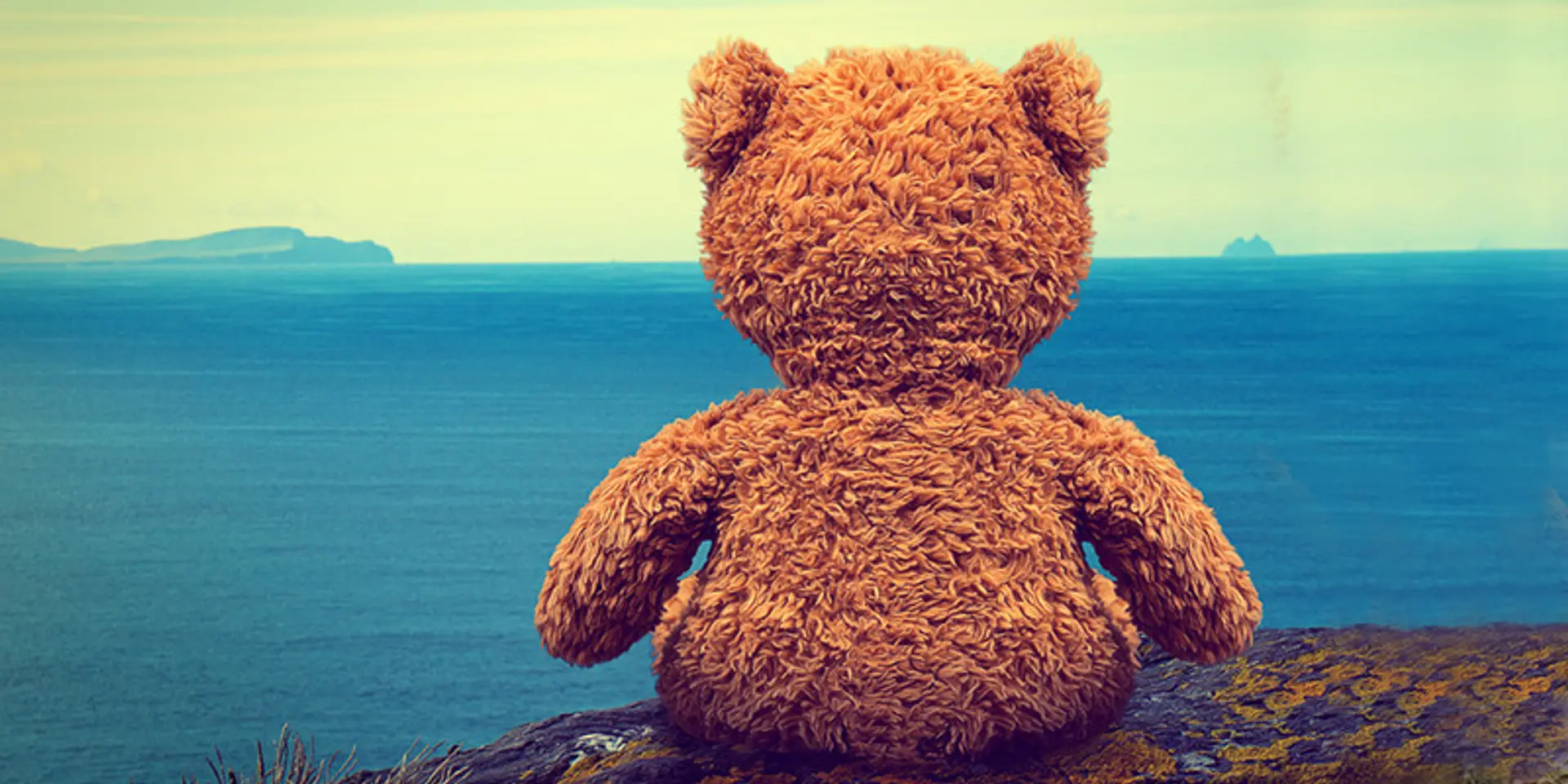 5 career paths best suited for introverts