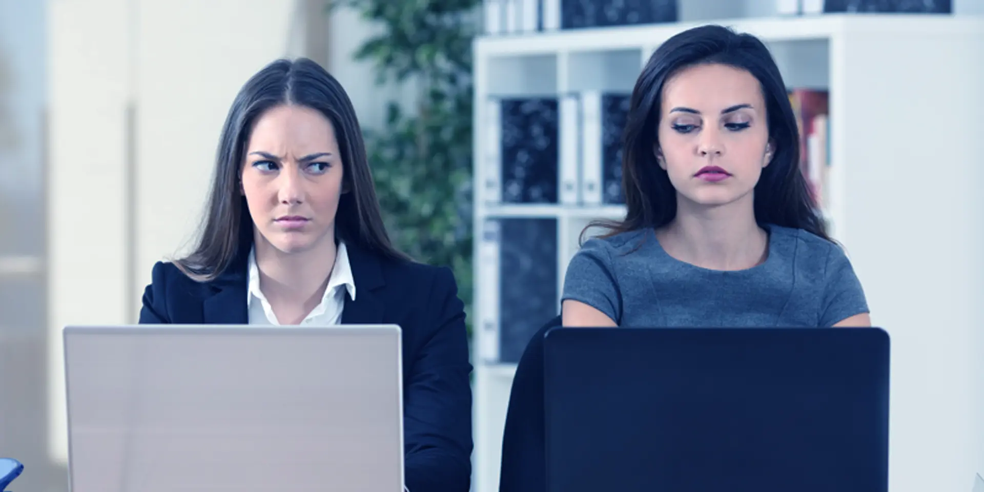 Difference between working for a startup versus a corporate job