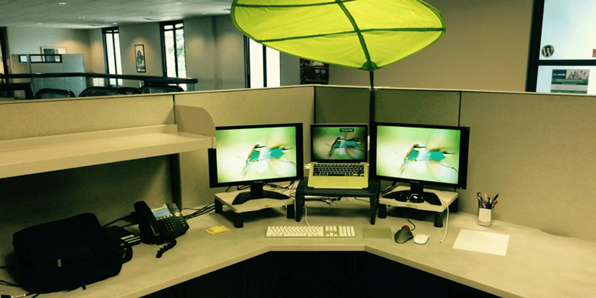 Here are a few things you should definitely have at your workstation