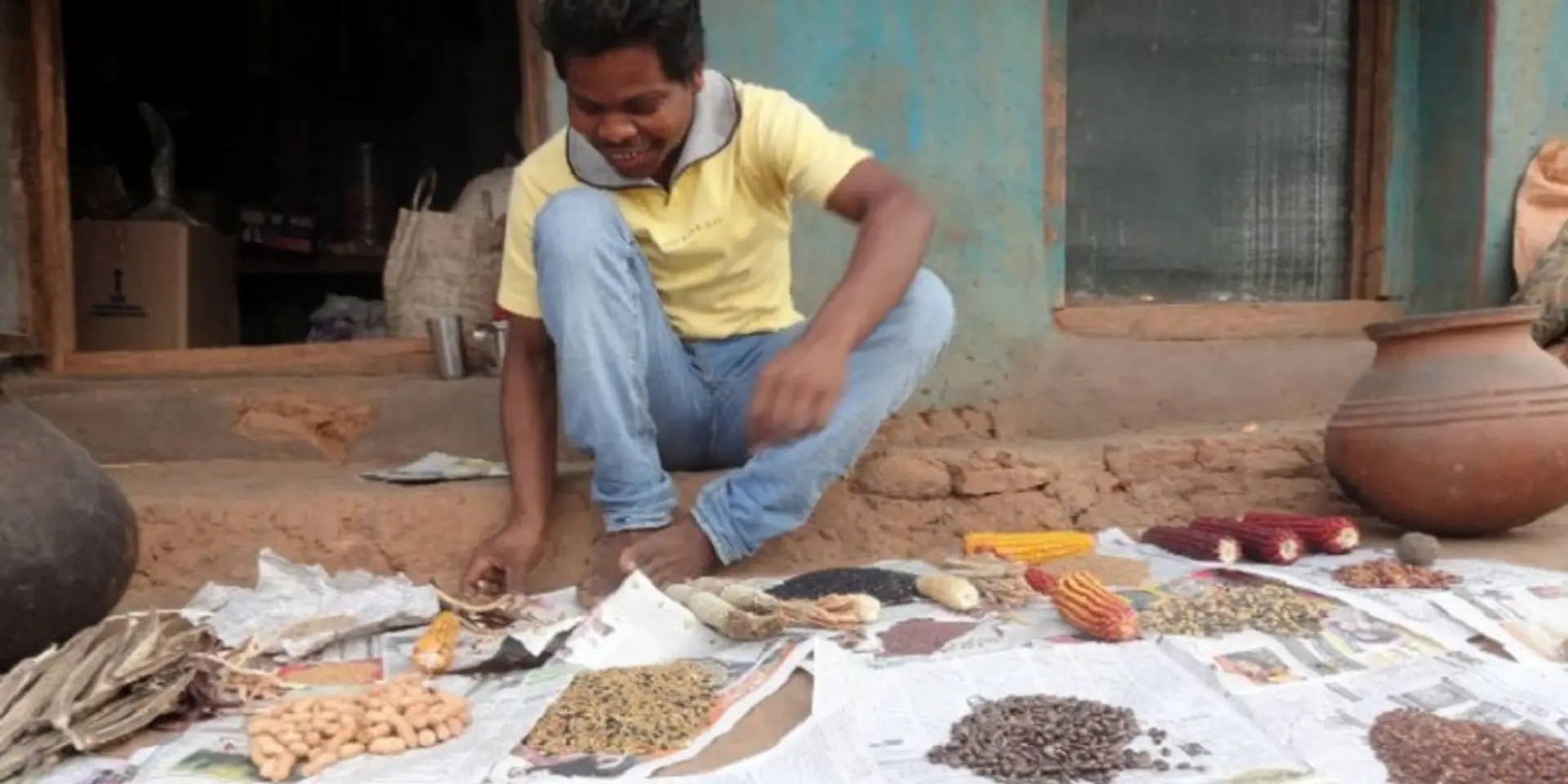 How inherent tribal wisdom has turned this Odisha village into the pinnacle of mixed cropping