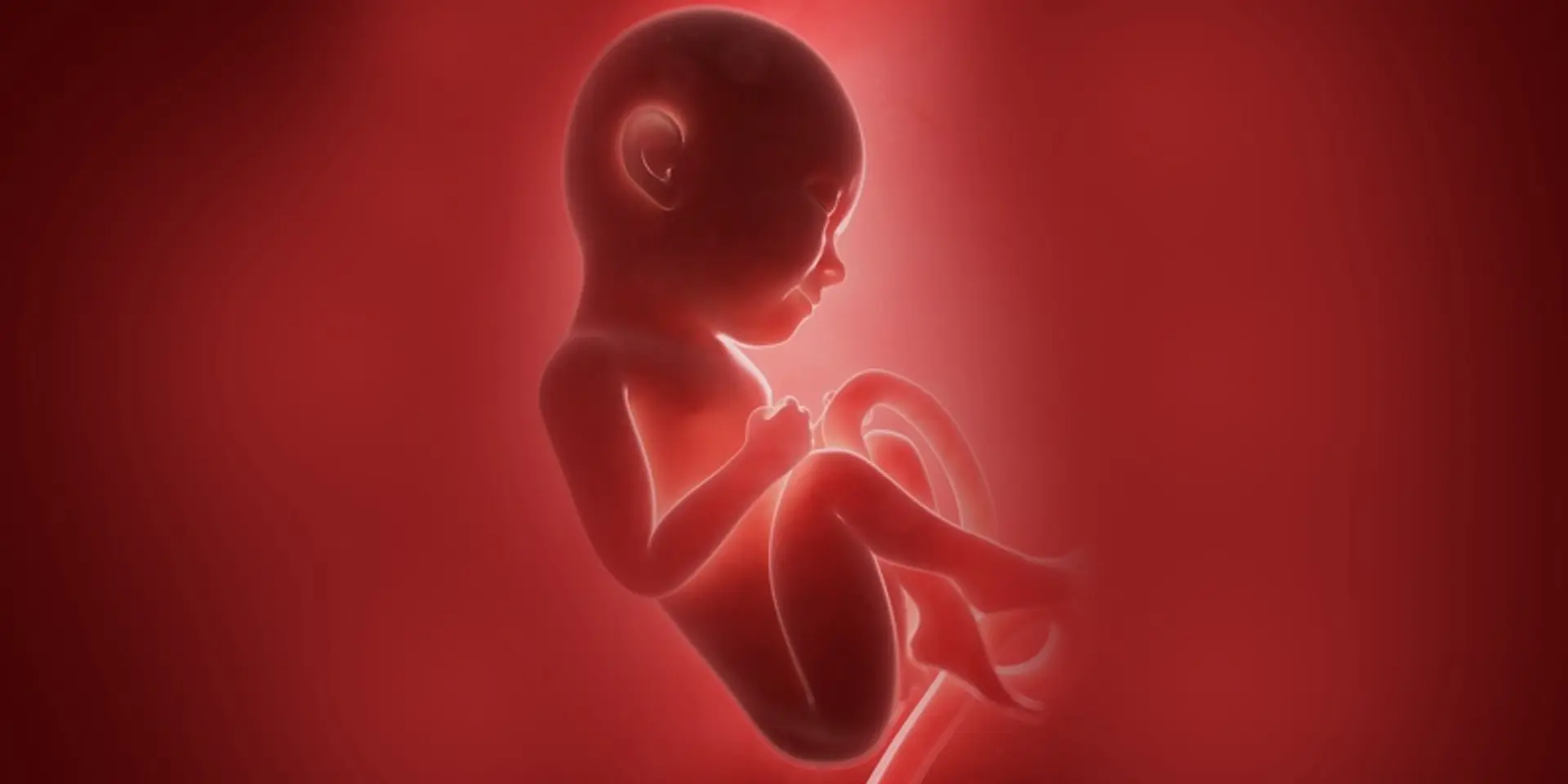 Health Ministry plans to amend law to allow abortion for single women in case of contraceptive failure