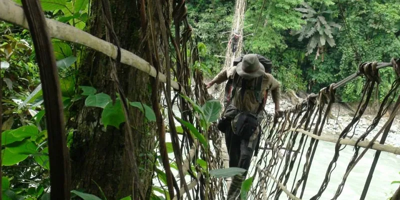 batti-bamboo-bridge