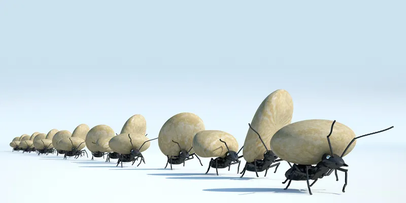Image : shutterstock