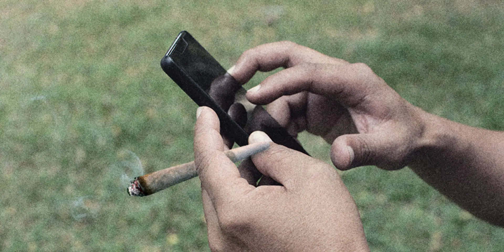 Grass goes digital