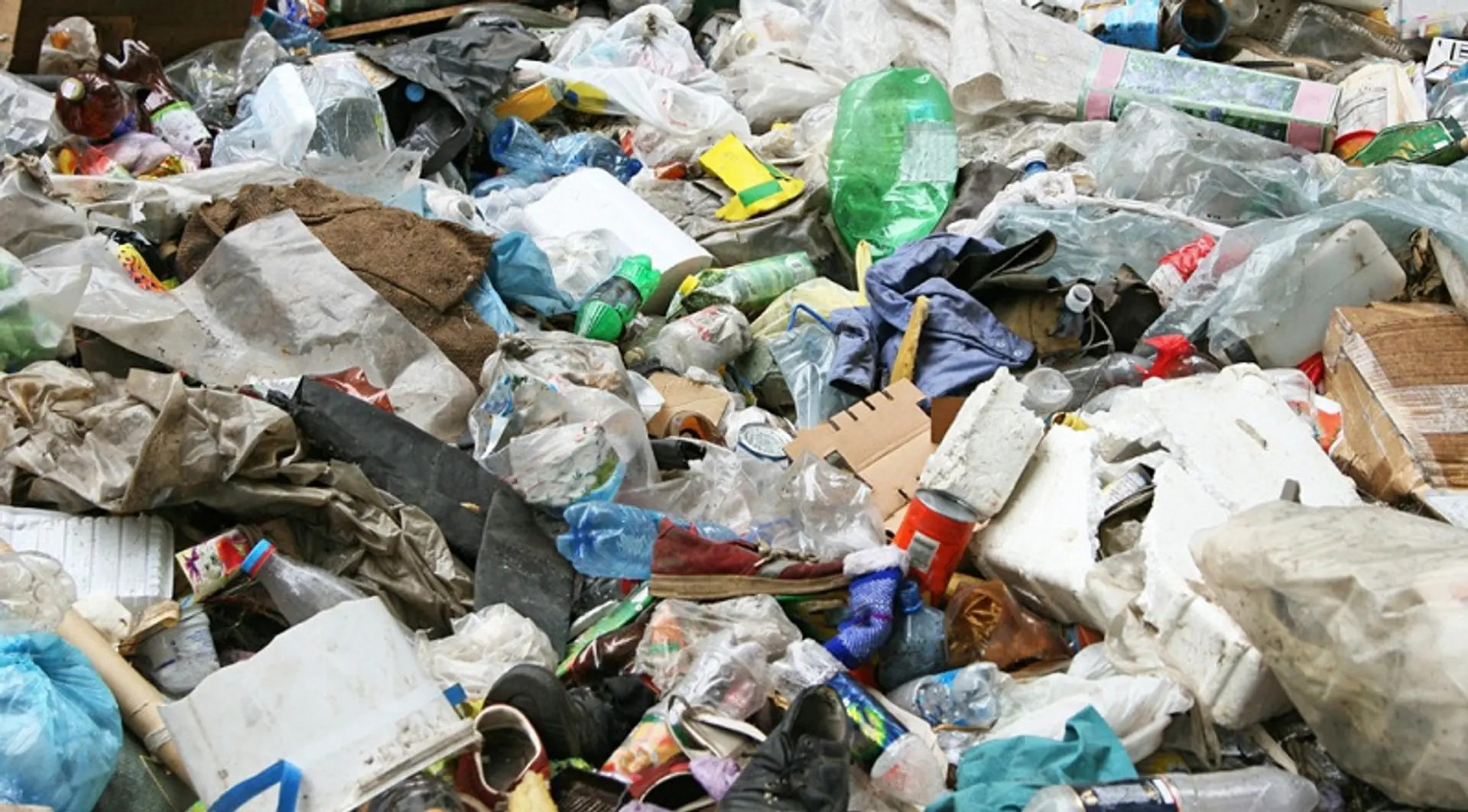 India needs New Delhi-size landfills for waste by 2050: Report