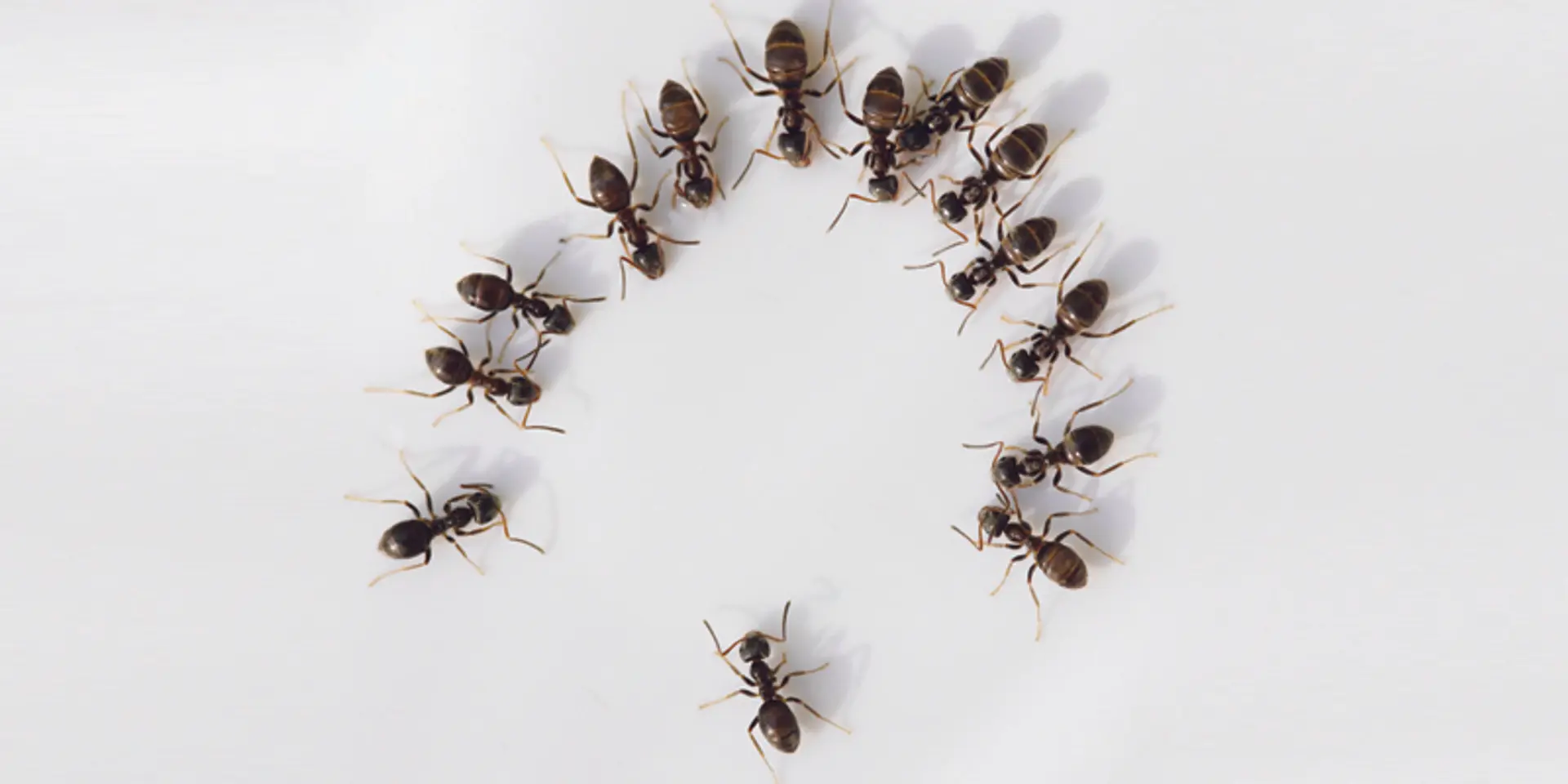 How to spot superstar talent in a group discussion interview
