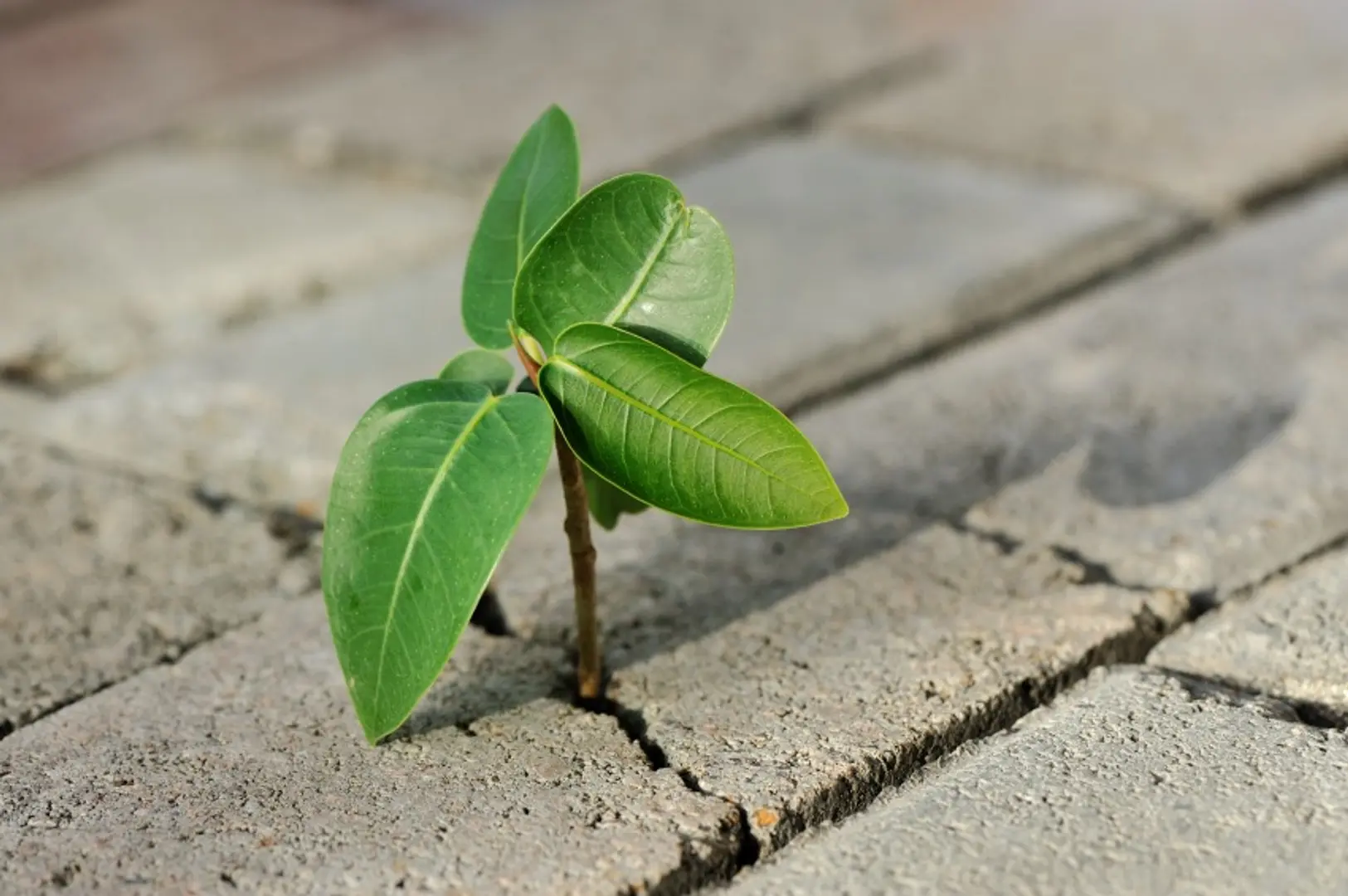 Are you living a resilient life?