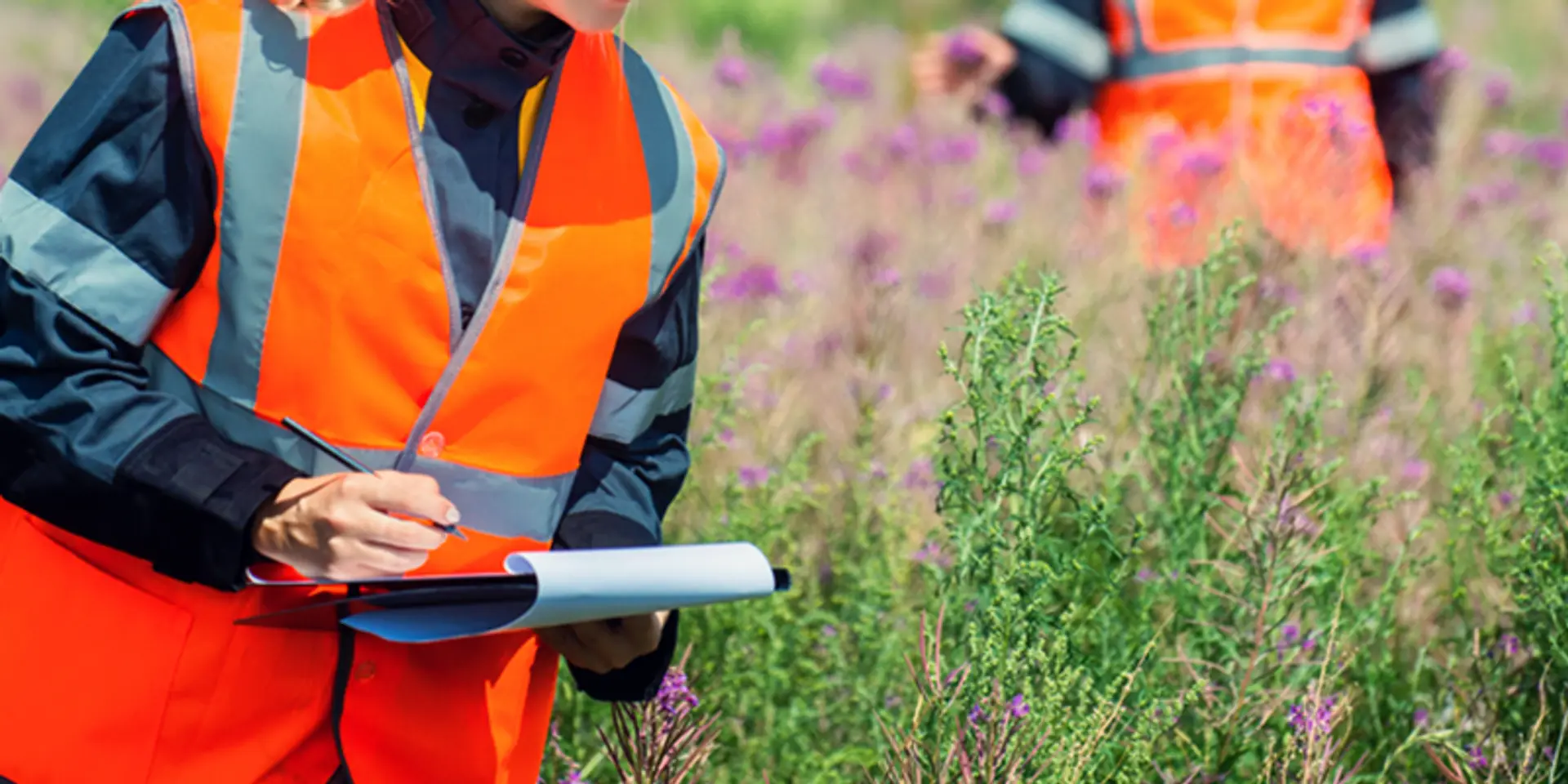 What I learnt from my experiences as field researcher in the social sector