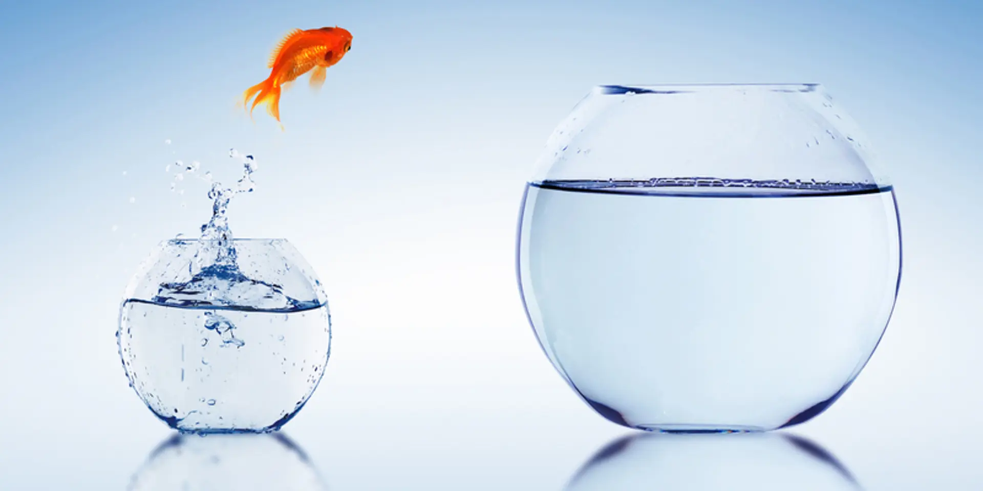 How to make a smooth transition from a corporate job to a startup job