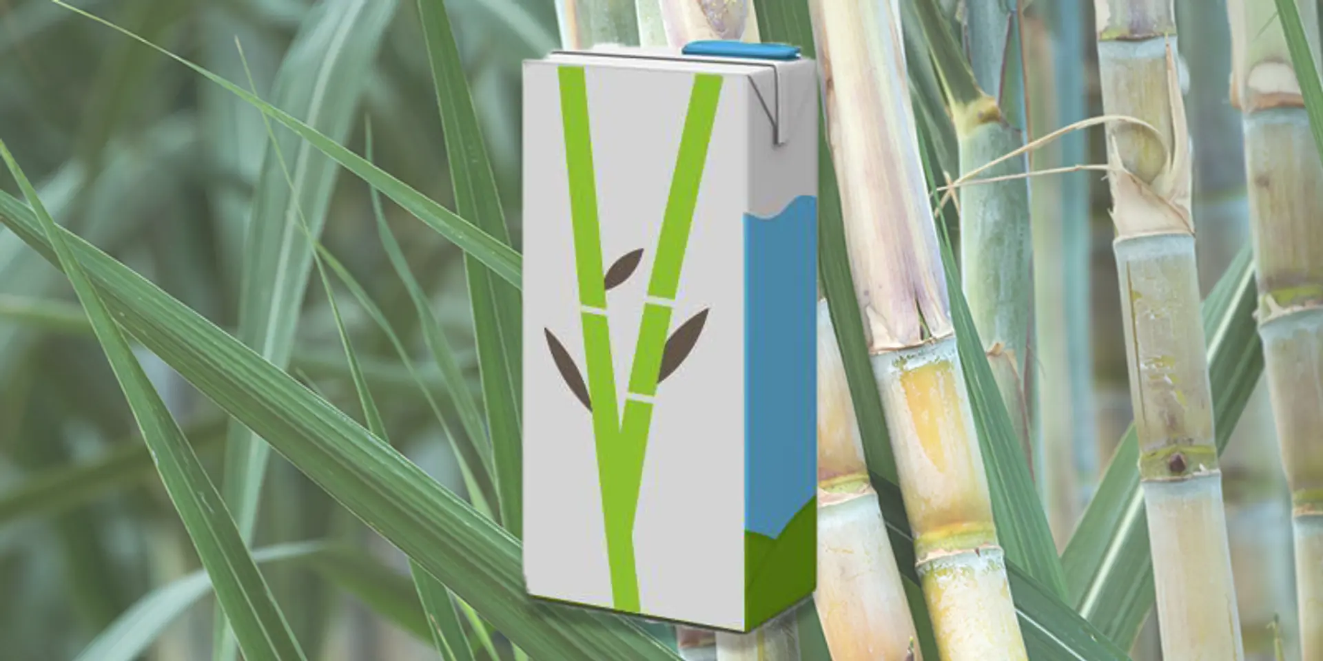 Pakka Limited raises Rs 244.7 Cr in funding to scale production