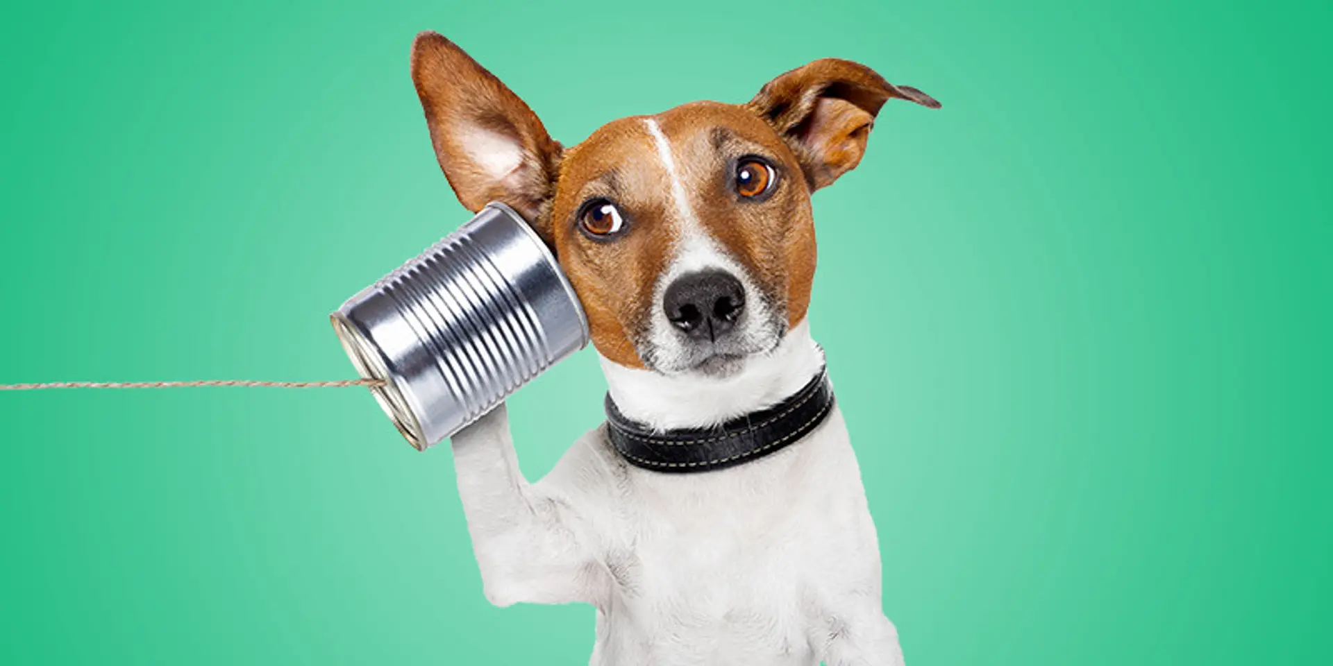 Begin today: working on your listening skills