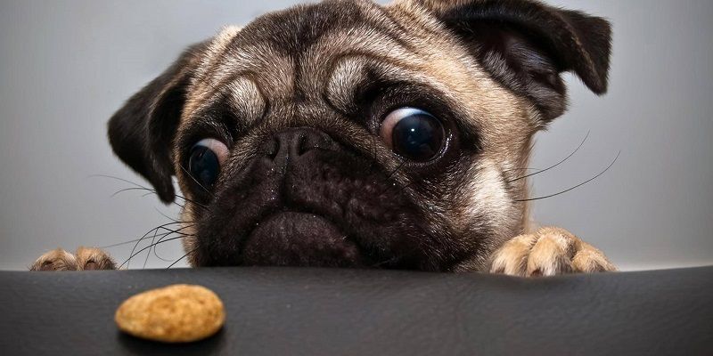 ‘The patience triangle’ and why the startup ecosystem needs growth hacking