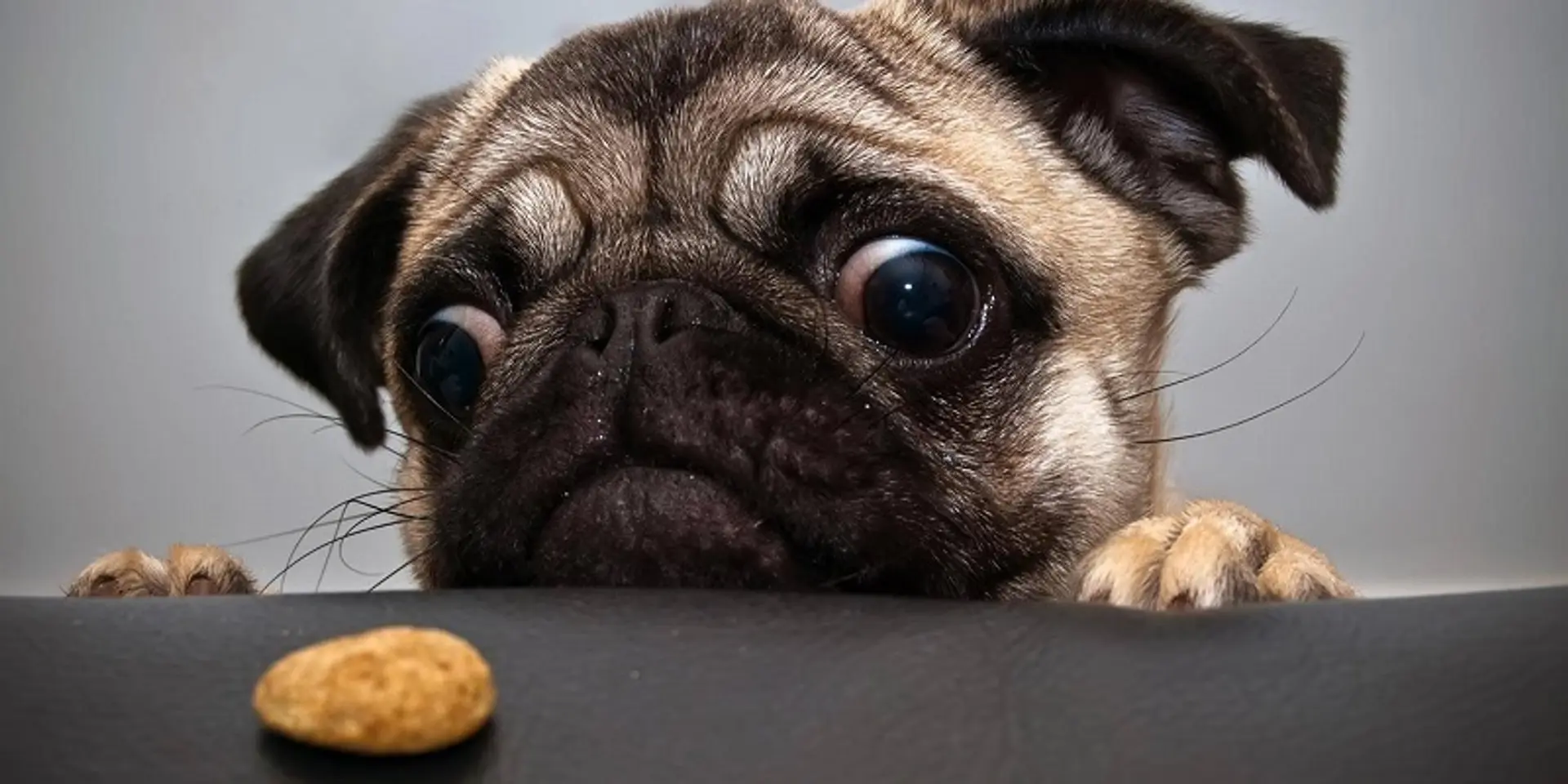 ‘The patience triangle’ and why the startup ecosystem needs growth hacking